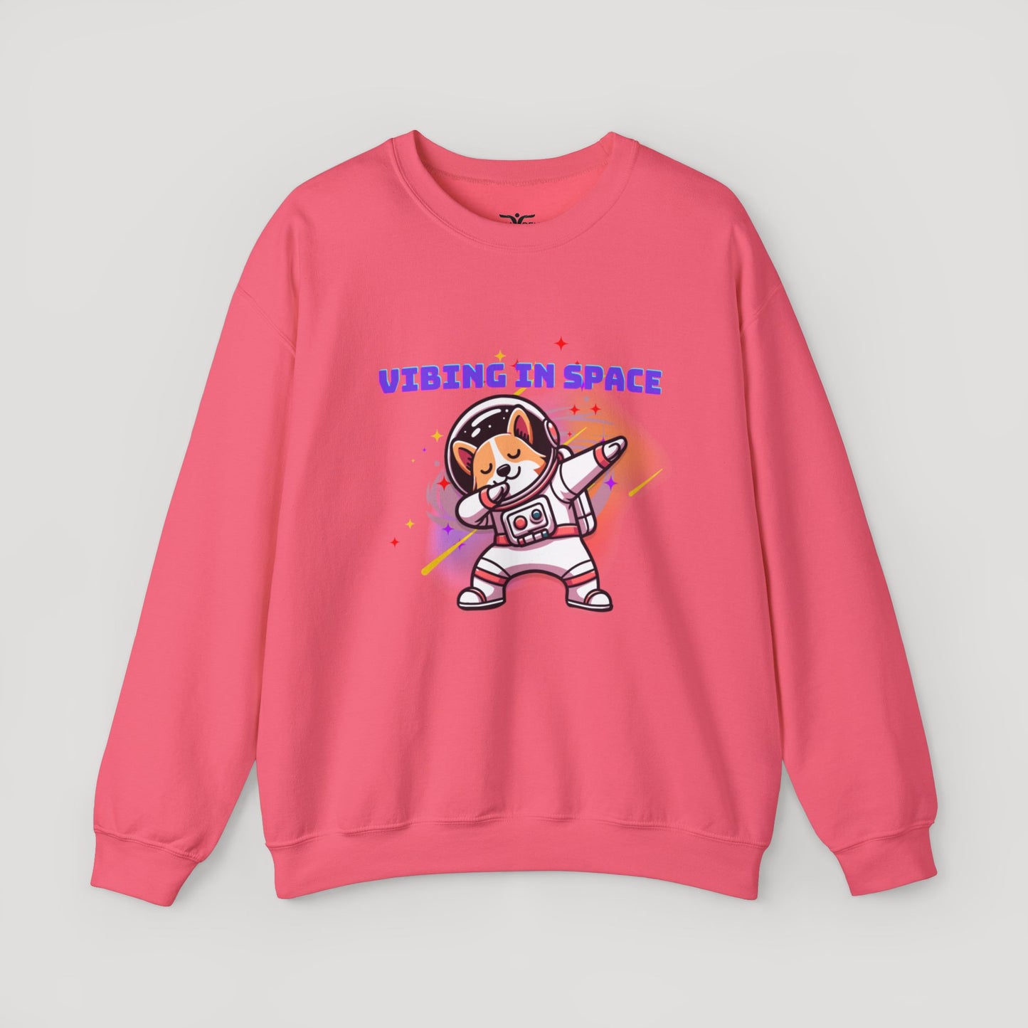 Vibing in Space Dog Sweatshirt