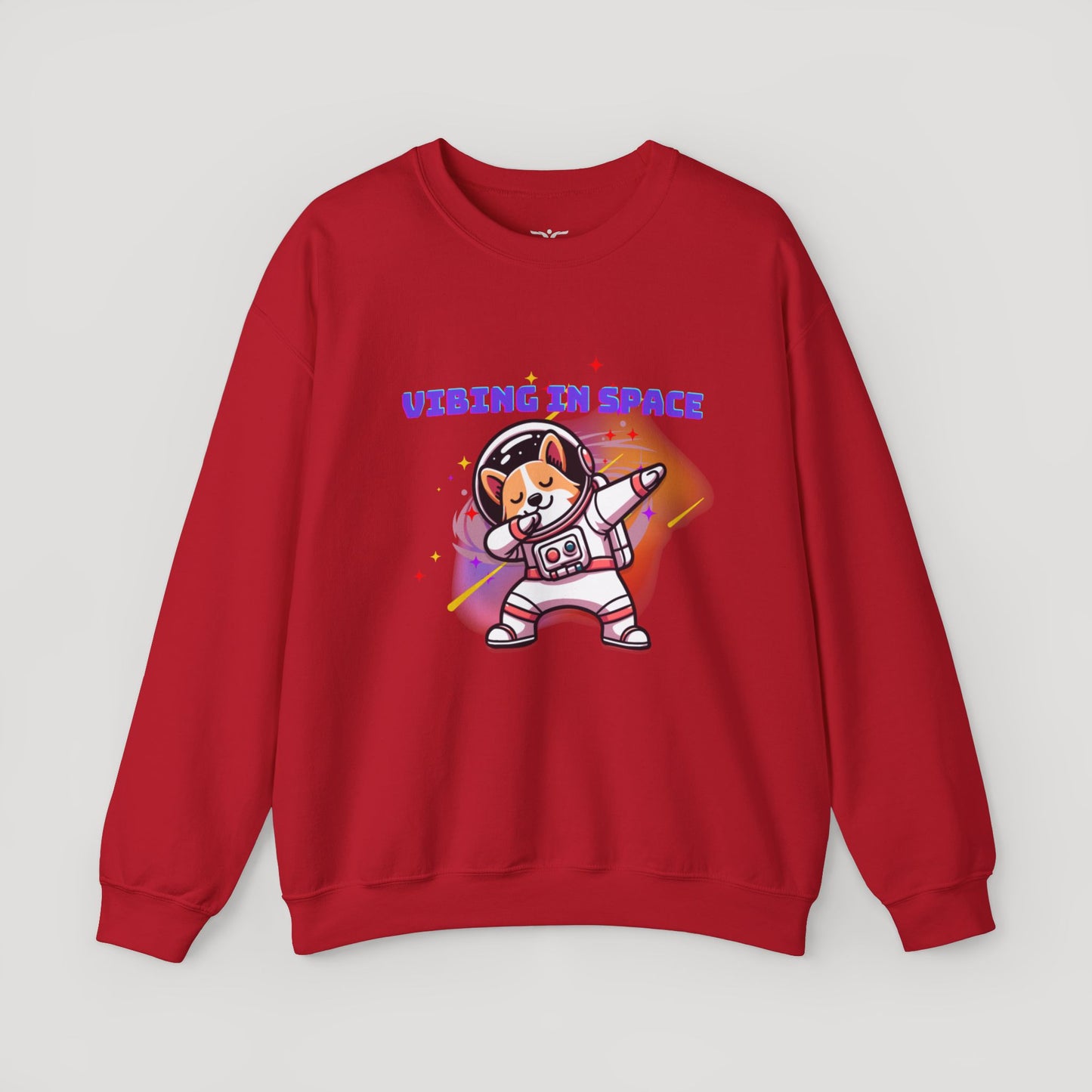 Vibing in Space Dog Sweatshirt