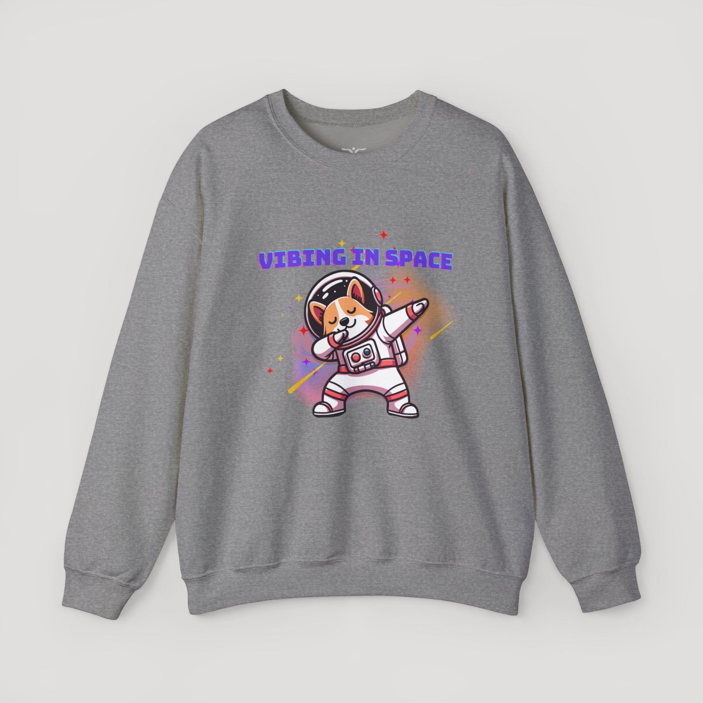 Vibing in Space Dog Sweatshirt