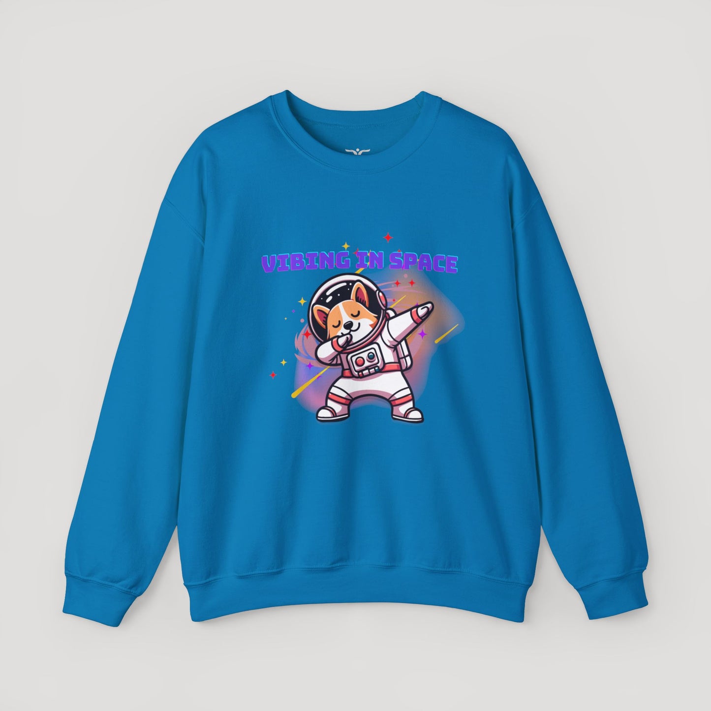 Vibing in Space Dog Sweatshirt